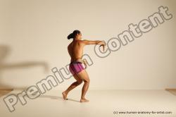 Elmer - Traditional Korean Art